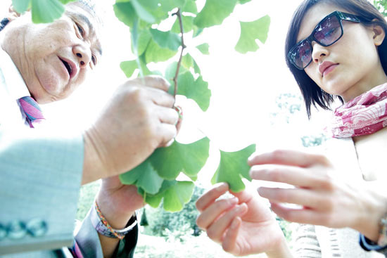 银杏,也叫植物活化石。我站在硕大的银杏树下,感受着生命的奇迹,不仅惊叹于大自然的神奇力量和植物的顽强生命力。