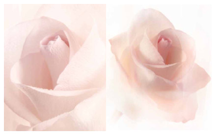 Lanc&ocirc;me兰蔻珍爱爱恋香水